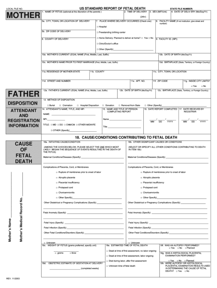 Fetal death form: Fill out & sign online  DocHub