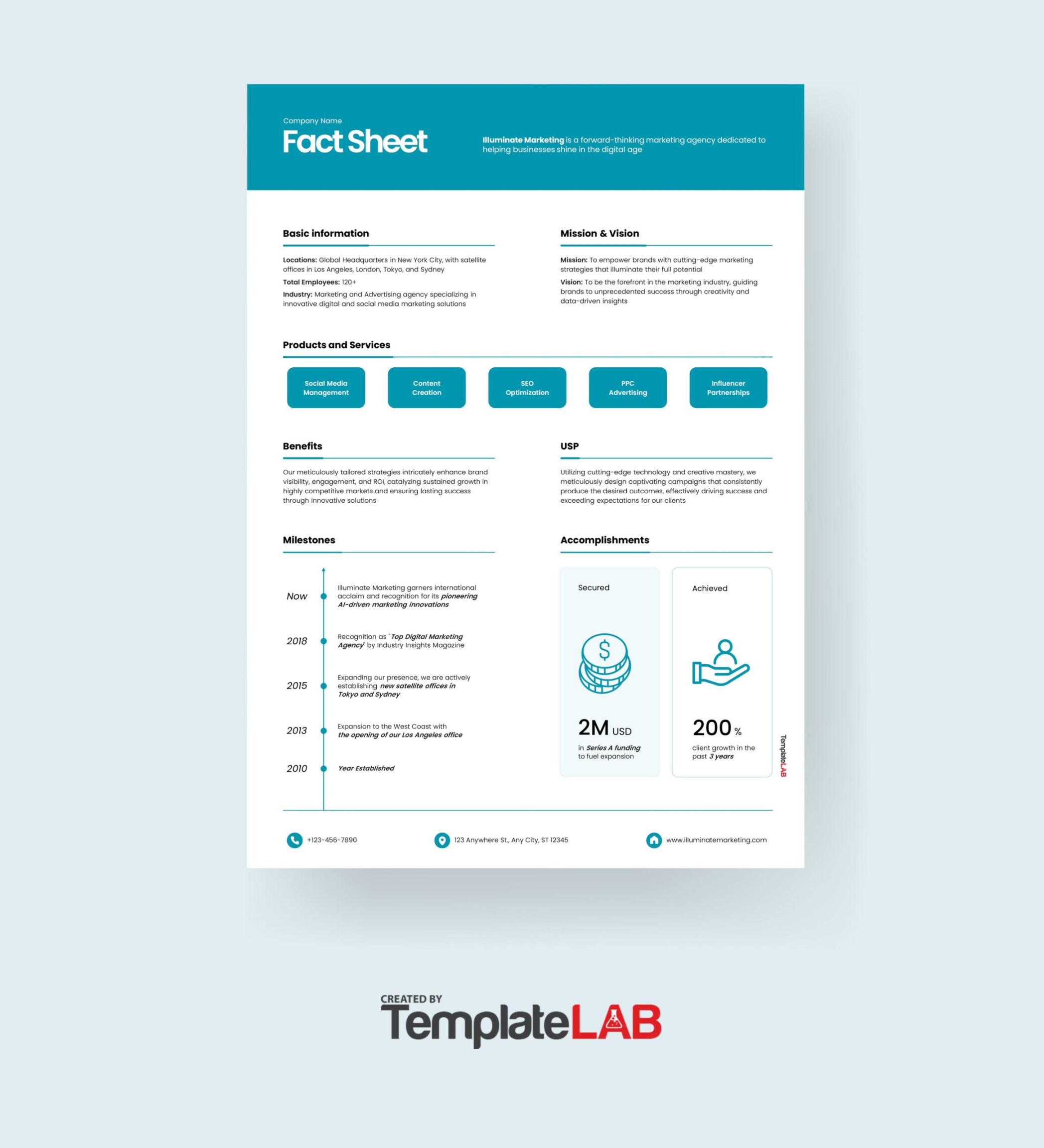 + Beautiful Fact Sheet Templates, Examples and Designs