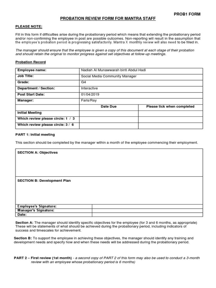 HR Probationary-Form  Download Free PDF  Probation  Employment